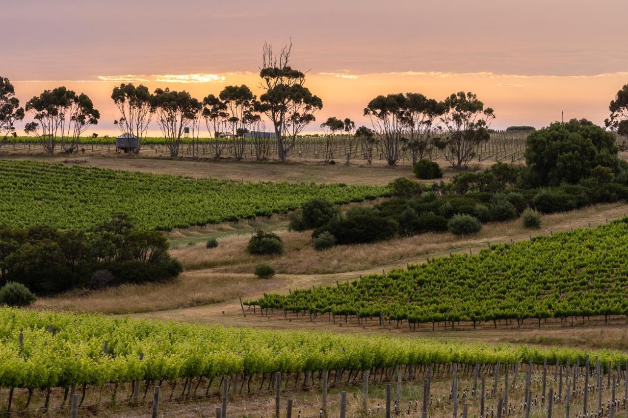 Hotel California Road At Inkwell Wines Mclaren Vale Exteriör bild