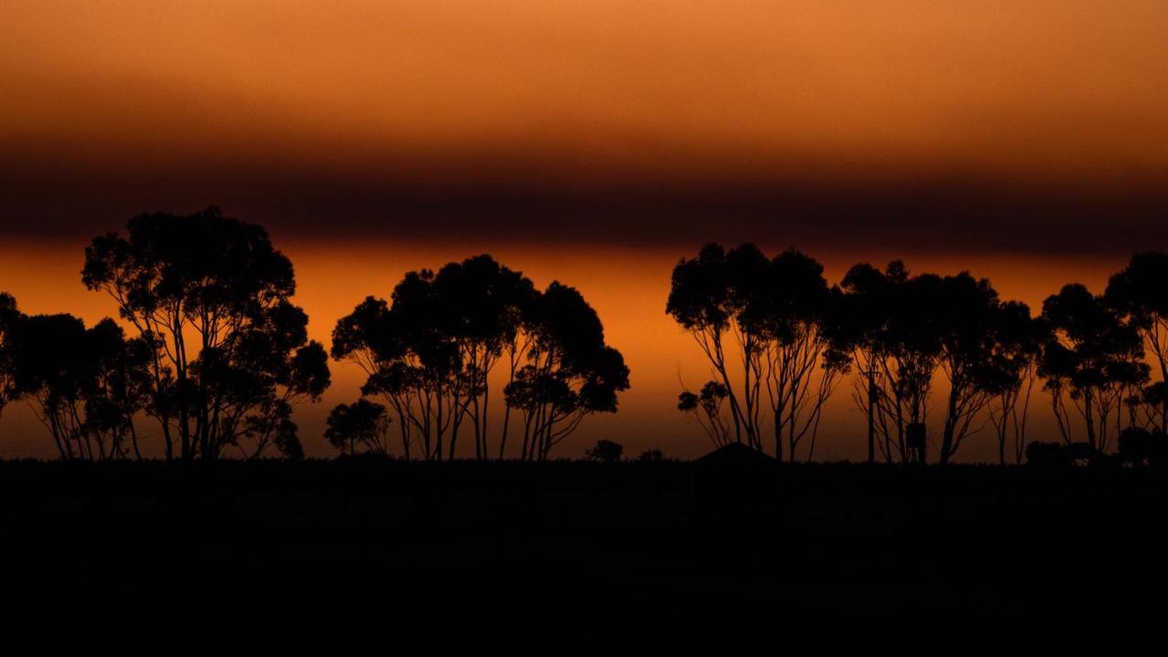 Hotel California Road At Inkwell Wines Mclaren Vale Exteriör bild