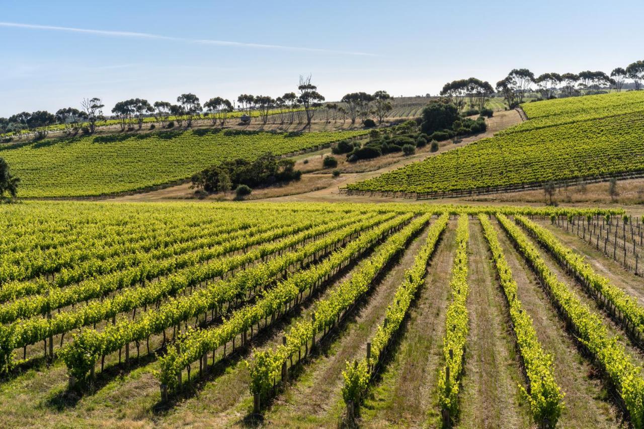 Hotel California Road At Inkwell Wines Mclaren Vale Exteriör bild